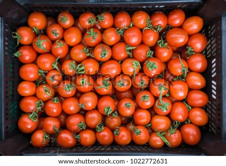 Cherry tomatoes in plastic. view from above
