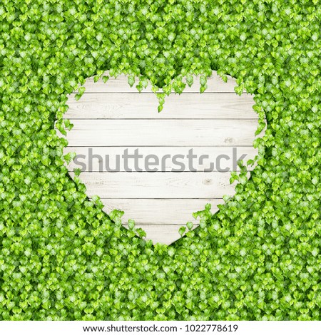 Blank wodden heart shape over green leaves background. Space for text