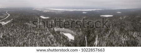 Aerial view of lake covered with snow. Forest. Panorama.