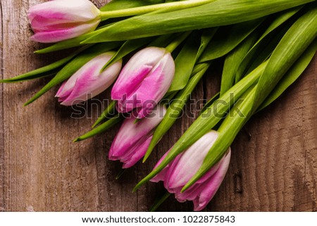 Bouquet of; pink tulips flowers on old wooden background; flat lay; copy space.