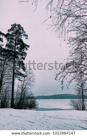 A snowy frozen lake at Forest Rhapsody Resort, Zelenogorsk, Russia