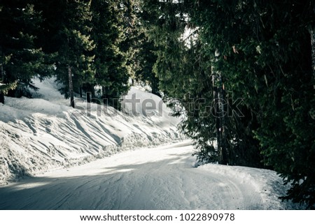 Winter landscape in the Swiss Alps. Ski slope crossing a fir forest