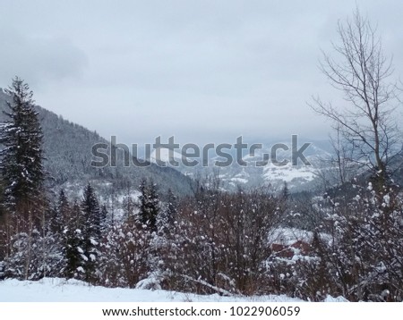 Beautiful winter view on snowy mountains