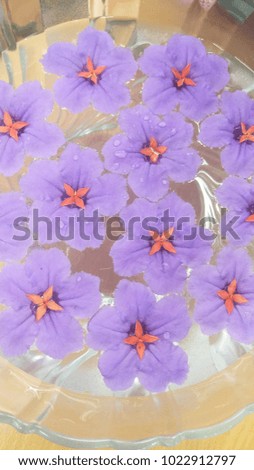 Purple hydrangea flowers floating in a bowl with essential oils. Shallow depth of field. Landscape orientation.