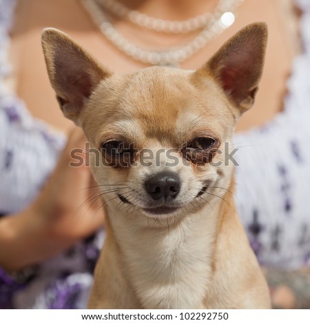 picture of a funny looking dog in front of a woman