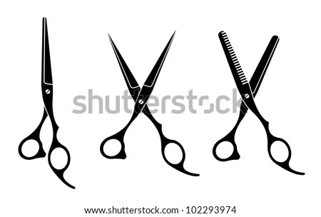 Vector illustration of  various professional barber Scissors