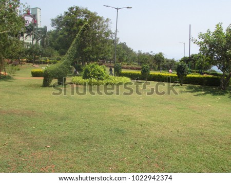 Public garden beautiful lawn with Giraffe made in tree & shrub looking very beautiful.
