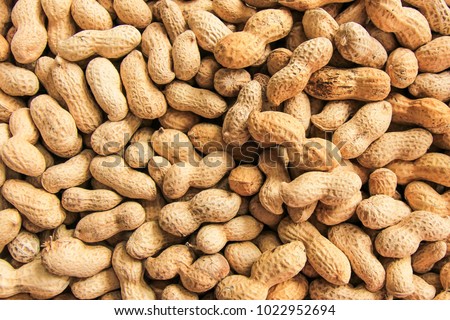 peanut in a shell texture. food background of peanuts  Royalty-Free Stock Photo #1022952694