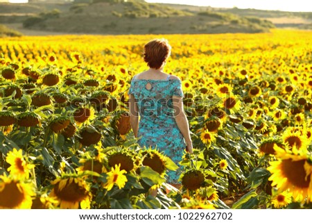 Woman walking through a yellow coloured field of grain while the sun is setting