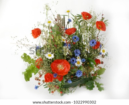 Beautiful flower arrangements for winter, spring, summer and autumn with colored backgrounds of red, purple and wintry white