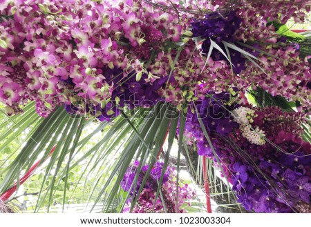 Colorful orchid bouquet background.