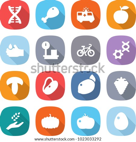 flat vector icon set - dna vector, chicken leg, ambulance car, apple, acid, warehouse scales, bike, edit, mushroom, beans, lemon, berry, harvest, pumpkin, tomato, egg