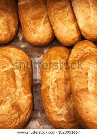 fresh white bread. bread from bakery shop