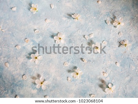 Beautiful spring flowers design background with copy space 