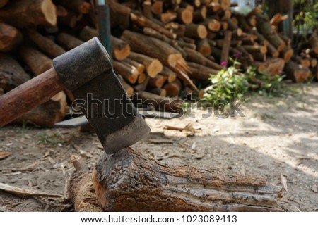 Ax and firewood are prepared for winter. Royalty-Free Stock Photo #1023089413