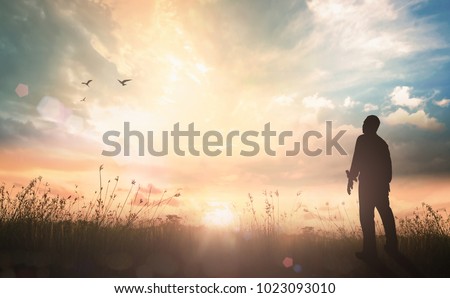 Worship and praise God concept: Silhouette humble man standing on sunlight with meadow autumn sunset background Royalty-Free Stock Photo #1023093010