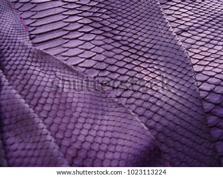 Python skin texture. Purple python skin. An animated background.