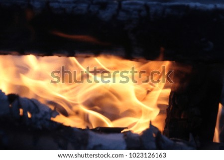 Wood and fire