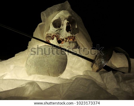 The human skull in the image