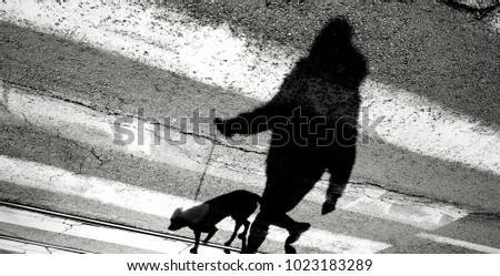 Shadow silhouette of a person walking a dog on a leash and crossing the street