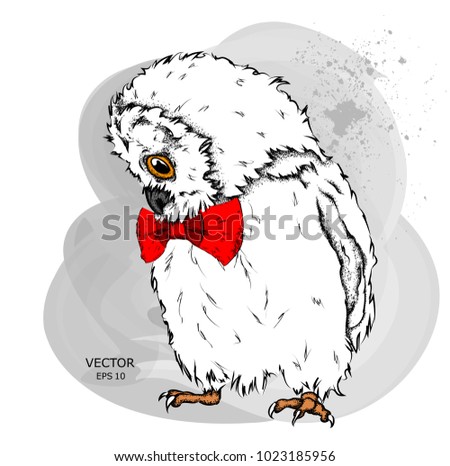 Portrait of an owl in a bow tie. Can be used for printing on T-shirts, flyers and stuff. Vector illustration