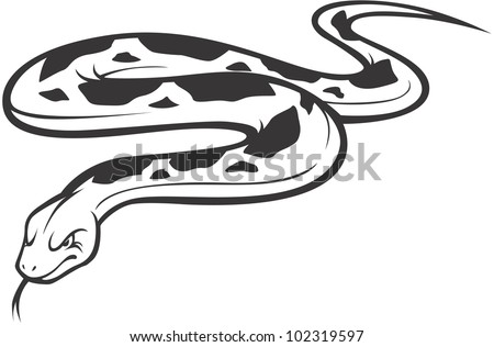 Wild Burmese Python Illustration