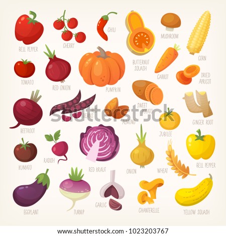 Variety of yellow, red and purple common farm and exotic fruit and vegetables. List of plants from grocery store with their market names. Isolated vector icons.  Royalty-Free Stock Photo #1023203767