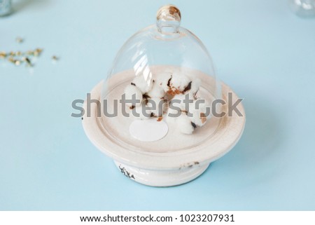 composition of cotton flowers under glass on blue background