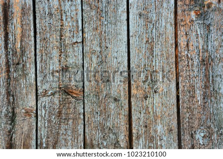 Old rough wood surface painted in aqua color - background in rustic style
