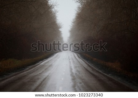 The road is in a fog. Headlights of the car.
