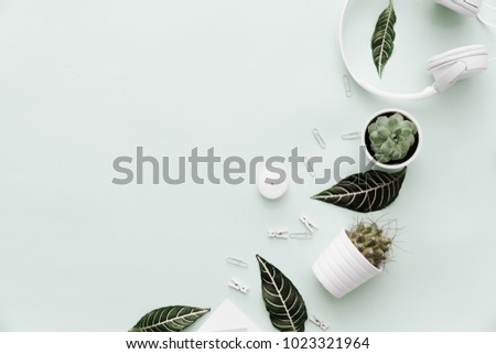 Modern Hipster Flat Lay With flowers pot, green leaves, headphones. Workspace for Designers, Bloggers 