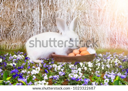  white rabbit with a bowl  full of eggs on the flowers and hay background 