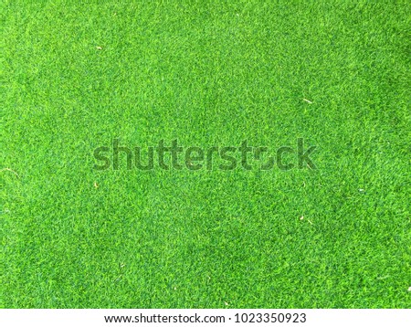 Top view of green grass , texture background