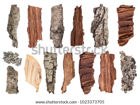 set of pieces of wood, bark and moss on an isolated background Royalty-Free Stock Photo #1023373705
