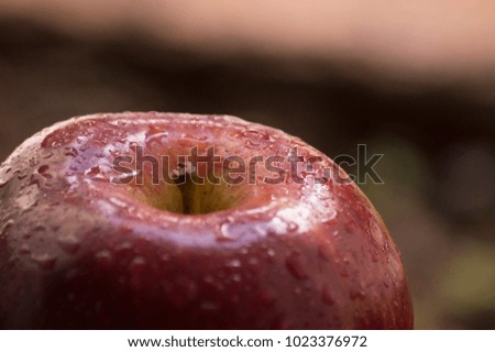 Fresh apple in the pic nic