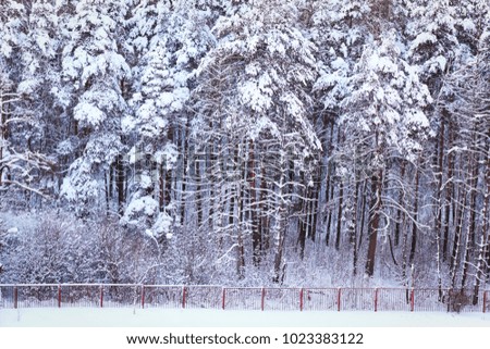 Winter forest in snow, detail of the thick cover behind the fence