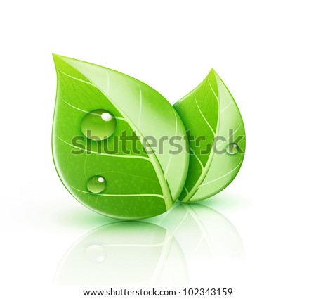 Vector illustration of ecology concept icon with glossy green leaves