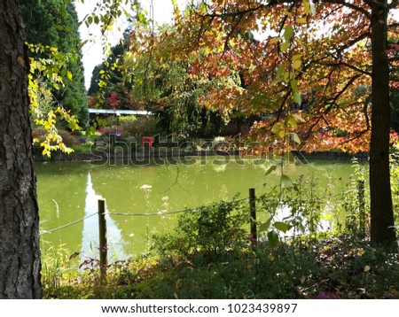 View on the green lake, trees and nature