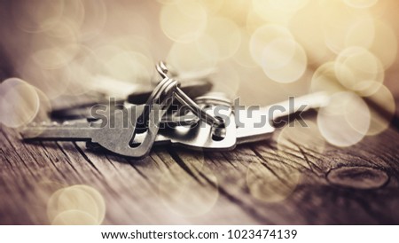 The bunch of keys lies on a wooden table.