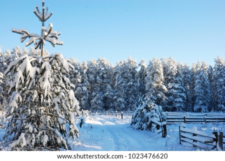 Snowy forest - winter illustration