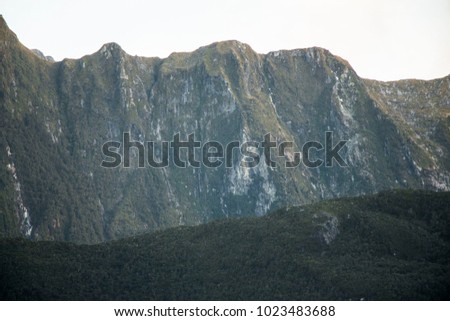 Background texture of Forest mountain in Fiordland national park in New Zealand.