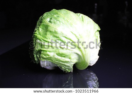 Lettuce on black reflective studio background. Isolated black shiny mirror mirrored background for every concept..