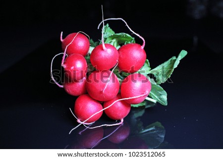 Red radish on black reflective studio background. Isolated black shiny mirror mirrored background for every concept..