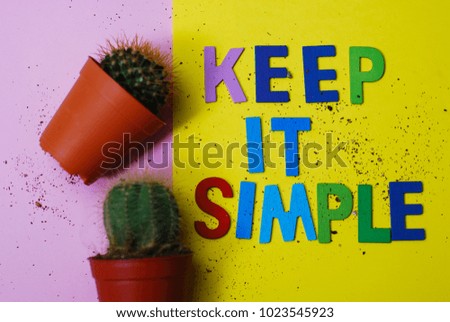 Keep it simple concept. Cactus and wooden alphabet on colorful background.