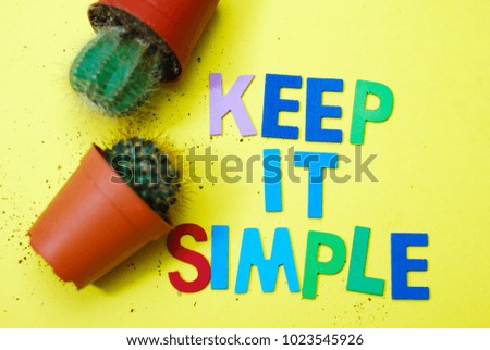 Keep it simple concept. Cactus and wooden alphabet on colorful background.
