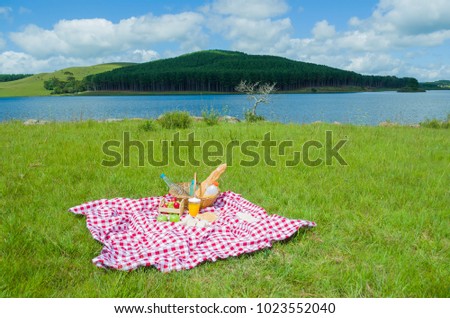 Great concept of pic-nic, pic-nic with fruits and juice on green lawn with beautiful view