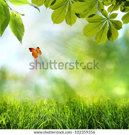 Abstract spring and summer backgrounds