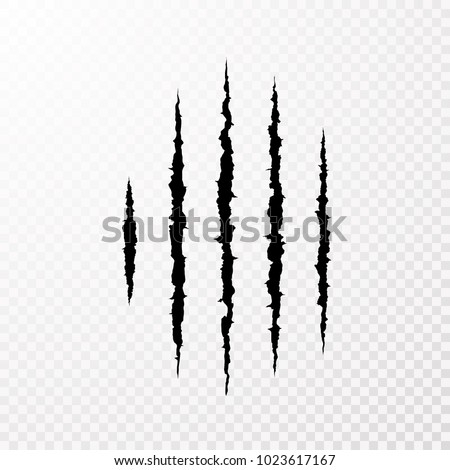 Traces from the claws of the monster. Claw scratch mark. Animal scratch isolated on transparent background. Shred paper. Vector illustration