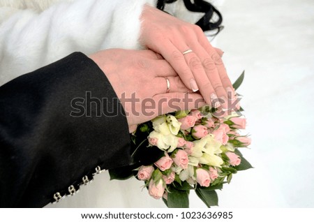 The hand of the bride and groom. wedding photo