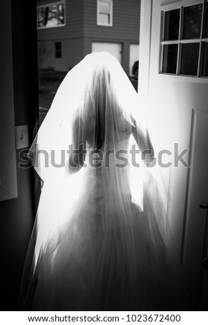 black and white silhouette of the bride